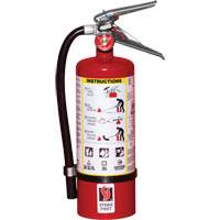 Extincteur d'incendie, ABC, Capacit&eacute; 5 lb Brunswick Fyr & Safety