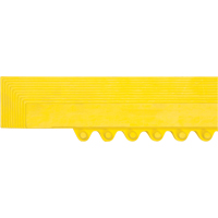 Rampe de bordure pour tapis Brunswick Fyr & Safety