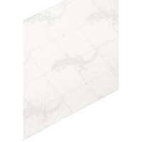 Ruban antid&eacute;rapant de premi&egrave;re qualit&eacute;, 4" x 60', Transparent Brunswick Fyr & Safety
