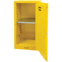 Flammable Storage Cabinet, 16 gal., 1 Door, 23" W x 44" H x 18" D Brunswick Fyr & Safety