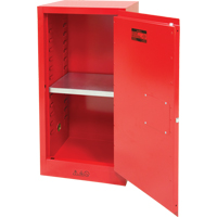 Paint/Ink Cabinet, 20 gal. Brunswick Fyr & Safety