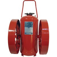 Red Line<sup>®</sup> Wheeled Fire Extinguishers, ABC, 125 lbs. Capacity SDN834 | Brunswick Fyr & Safety