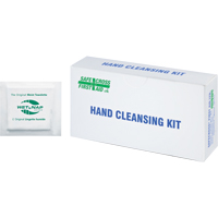 Hand Cleansing Moist Wipes, Towelette SDS863 | Brunswick Fyr & Safety