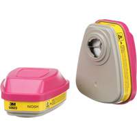 Cartouches pour respirateur s&eacute;rie 6000, Cartouche gaz/vapeur, Vapeurs organiques/Gaz acides/P100 Brunswick Fyr & Safety