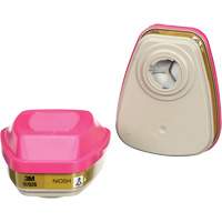 Cartouches pour respirateur s&eacute;rie 6000, Cartouche gaz/vapeur, Gaz multiples/Vapeurs/P100 Brunswick Fyr & Safety