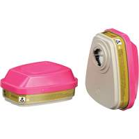Cartouches pour respirateur s&eacute;rie 6000, Cartouche gaz/vapeur, Gaz multiples/Vapeurs/P100 Brunswick Fyr & Safety