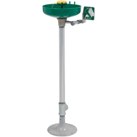Axion&reg; Eye/Face Wash Station, Pedestal Installation, Plastic Bowl Brunswick Fyr & Safety