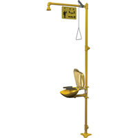 Halo Combination Emergency Shower & Eyewash Station Brunswick Fyr & Safety