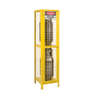 Gas Cylinder Cabinets, 2 Cylinder Capacity, 17" W x 17" D x 69" H, Yellow SEB838 | Brunswick Fyr & Safety