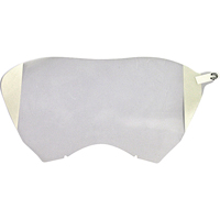 Protecteurs du visage de rechange pour respirateurs &agrave; masque complet 9000 Brunswick Fyr & Safety