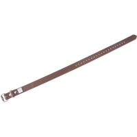 Leg Straps Brunswick Fyr & Safety