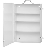 Medicine-Style Cabinets SEE510 | Brunswick Fyr & Safety
