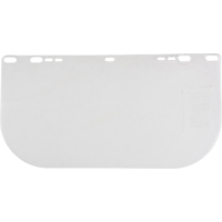 Visi&egrave;re plate transparente F20, Polycarbonate, Teinte Transparent Brunswick Fyr & Safety