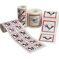 GHS Pictogram Labels, Paper, Roll, 2" L x 2" W Brunswick Fyr & Safety