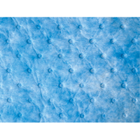 Oil Only Sorbent Sweep Brunswick Fyr & Safety