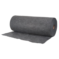 Sorbent Rugs/Mats