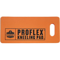 Tapis repose-genoux compact Proflex 375, 18" lo x 8" la, 1" &eacute;pais Brunswick Fyr & Safety