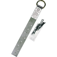 Miller&reg; Single Roof Anchor, D-Ring, Permanent Use Brunswick Fyr & Safety