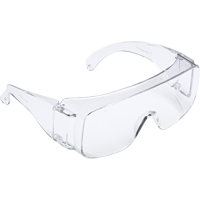 Tour-Guard V Series Safety Glasses, Clear Lens, Meets/Exceeds CSA Z94.3 Brunswick Fyr & Safety