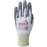 Gants r&eacute;sistants &agrave; la coupe PowerFit Lebon, Taille T-petit/6, Calibre 13, Rev&ecirc;tement Polyur&eacute;thane, Enveloppe en Poly&eacute;thyl&egrave;ne, ASTM ANSI niveau A2/EN 388 niveau B Brunswick Fyr & Safety