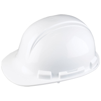 Dynamic Whistler Hardhat, CSA Type 1, Pinlock Suspension Brunswick Fyr & Safety