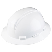 Brim Hard Hats