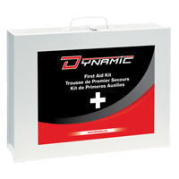 Dynamic General-Purpose Industrial First Aid Kit, Class 1 Medical Device, Metal B Brunswick Fyr & Safety