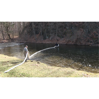SpillBoa Bale, Oil Only, 25' L x 5" W, 28 gal. Absorbancy, 4 /Pack Brunswick Fyr & Safety