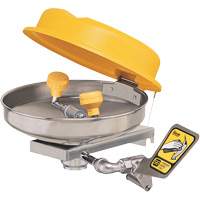 Poste de douche oculaire, Installation Montage mural, Bol Acier inoxydable Brunswick Fyr & Safety