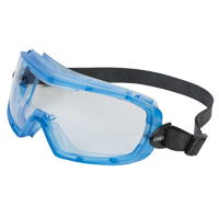 Uvex&reg; Entity Safety Goggles, Clear Lens, Anti-Fog, Indirect Vent Brunswick Fyr & Safety