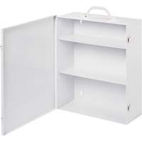 Medicine Cabinet (Empty) SGH442 | Brunswick Fyr & Safety