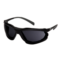 Proximity Safety Glasses, Grey/Smoke Lens, Anti-Fog Coating, ANSI Z87+/CSA Z94.3 SGI170 | Brunswick Fyr & Safety
