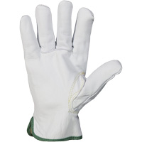 Endura&reg; Cut-Resistant Arc Flash Gloves, X-Small, 10" L, 36 cal/cm², Level 3, NFPA 70E Brunswick Fyr & Safety