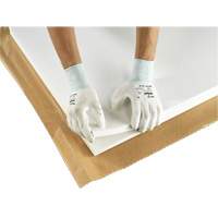PX140 Coated Gloves, 6/X-Small, Polyurethane Coating, 15 Gauge, Nylon Shell Brunswick Fyr & Safety