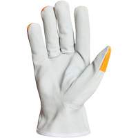 Endura&reg; Driver's Gloves, Small, Grain Goatskin Palm Brunswick Fyr & Safety