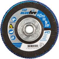 Disque &agrave; lamelles BlueFire, 5" x 5/8"-11, Type 29, Grain 80, Alumine de zirconium Brunswick Fyr & Safety