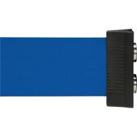 Wall Mount Barrier with Magnetic Tape, Steel, Screw Mount, 7', Blue Tape SGR025 | Brunswick Fyr & Safety