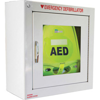 Surface Wall Mounting AED Cabinet, Zoll AED Plus<sup>®</sup> For, Non-Medical SGU177 | Brunswick Fyr & Safety
