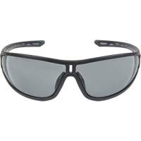 Z3000 Series Safety Glasses, Grey/Smoke Lens, Anti-Fog/Anti-Scratch, ANSI Z87+/Meets/Exceeds CSA Z94.3 Brunswick Fyr & Safety