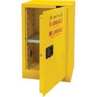 Flammable Storage Cabinet, 12 gal., 1 Door, 23" W x 35" H x 18" D SGU463 | Brunswick Fyr & Safety