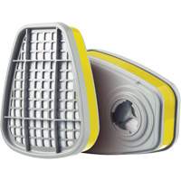 Cartridge, Gas/Vapour Cartridge, Multi-Gas/Vapour Brunswick Fyr & Safety