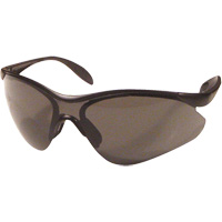 Miranda Safety Glasses, Grey Lens, Anti-Scratch, Meets/Exceeds CSA Z94.3 Brunswick Fyr & Safety