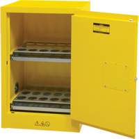 Flammable Aerosol Storage Cabinet, 12 gal., 1 Door, 23" W x 35" H x 18" D SGX675 | Brunswick Fyr & Safety