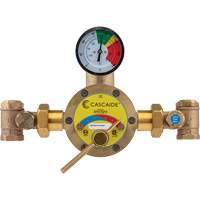 Mixing Valve for Exposed Assembly of Drench or Combination Emergency Shower, 56 GPM SGX711 | Brunswick Fyr & Safety