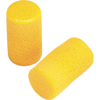 E-A-R Classic Earplugs, Pair - Pillow Pack, Large Brunswick Fyr & Safety