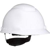 Standard Hard Hats