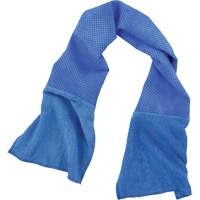 Chill-Its 6604 Multi-Purpose Cleaning and Cooling Towel, Blue SHB399 | Brunswick Fyr & Safety