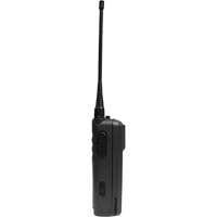 Radio bidirectionnelle portable sans affichage de la série CP100d SHC308 | Brunswick Fyr & Safety
