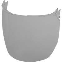Face Shield Replacement Lenses, Polycarbonate, Grey/Smoke Tint Brunswick Fyr & Safety