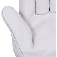 Beige Driver's Gloves, Small, Grain Cowhide Palm SHE731 | Brunswick Fyr & Safety